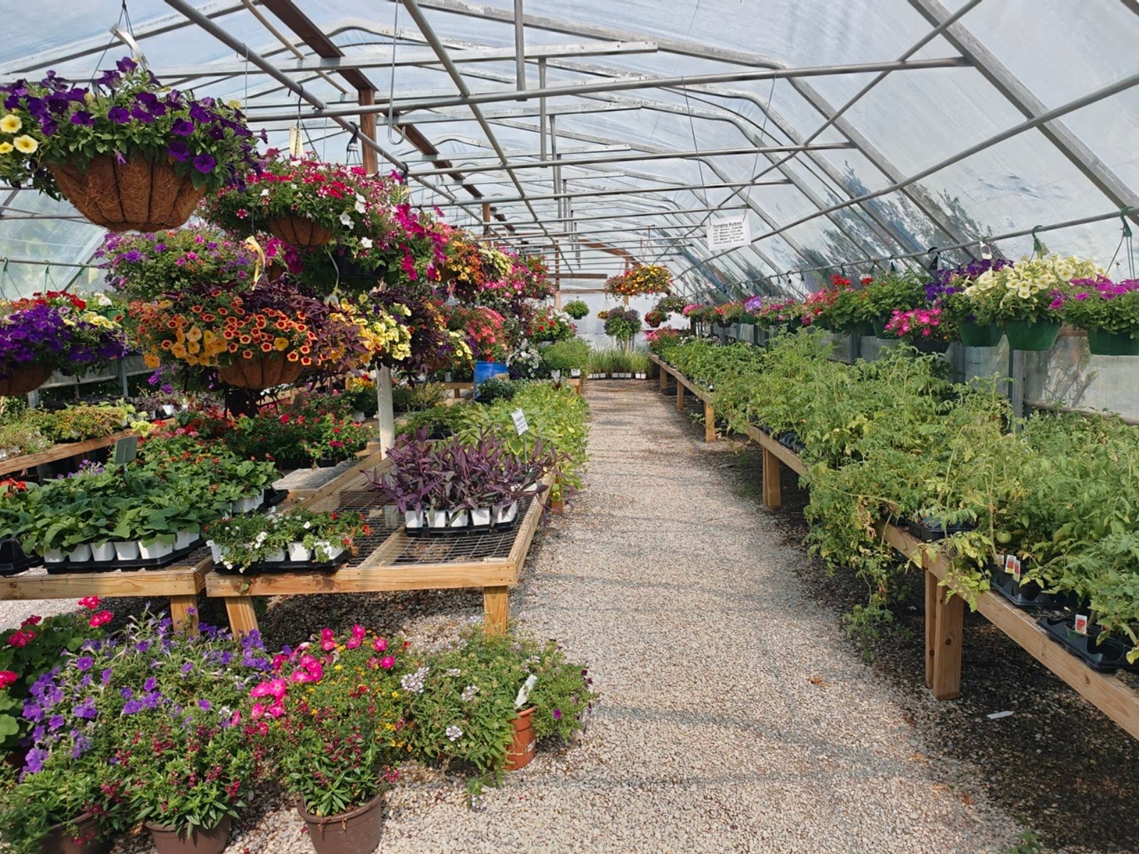 Livingston Garden Center greenhouse 2