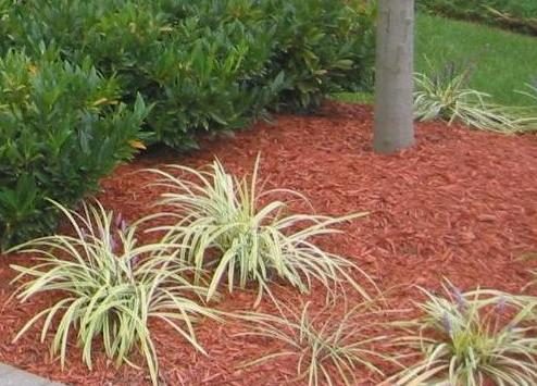 Double-Ground Hardwood Mulch