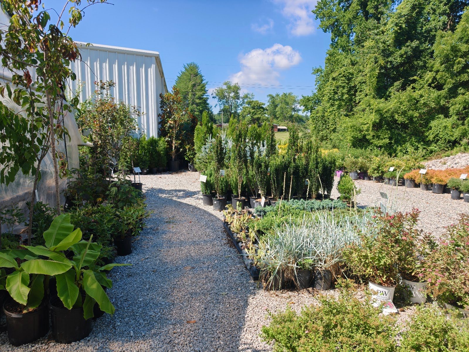 Livingston Garden Center greenhouse 10