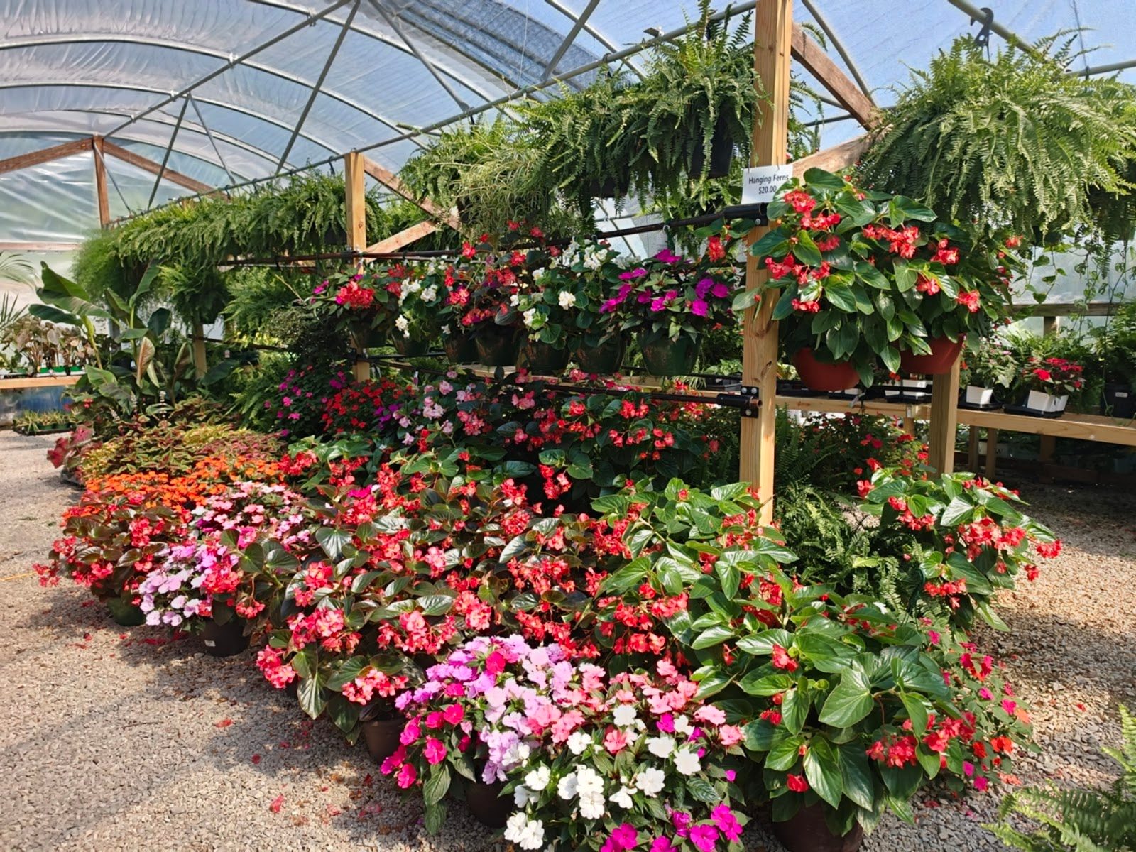 Livingston Garden Center greenhouse