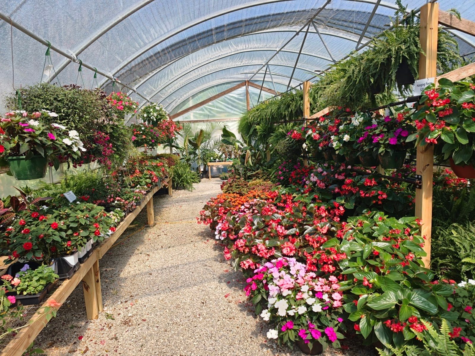 Livingston Garden Center greenhouse 11