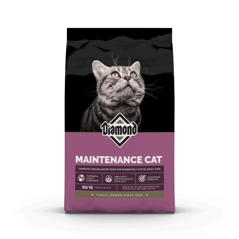 Diamond Cat Maintenance