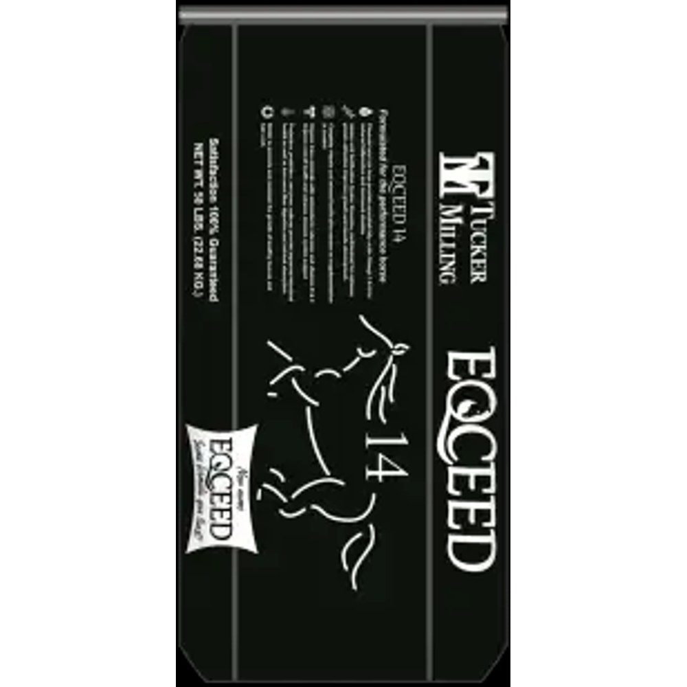 EQCEED 14 (14-8-18)