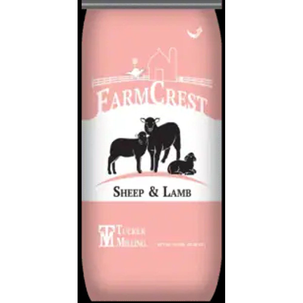 FarmCrest Sheep & Lamb