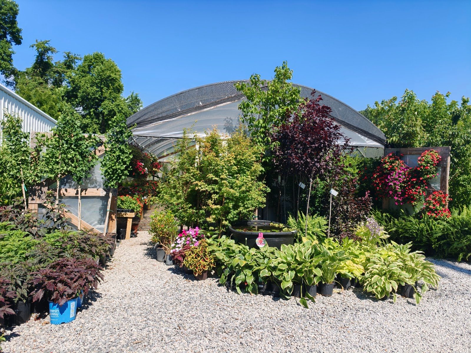 Livingston Garden Center greenhouse 6